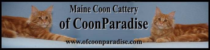 CoonParadise