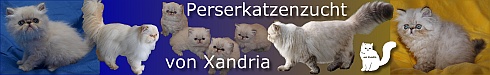 vonXandria2